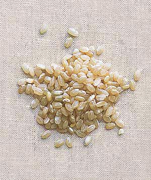 Short-grain brown rice